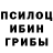 Псилоцибиновые грибы ЛСД watashiwaneko desu
