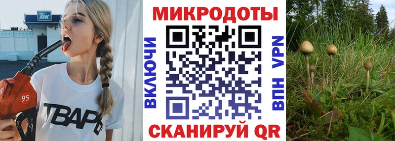 Псилоцибиновые грибы MAGIC MUSHROOMS  Купить закладки  Гороховец 